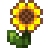:sunflowersv: